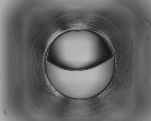 X0000097511488200802220853