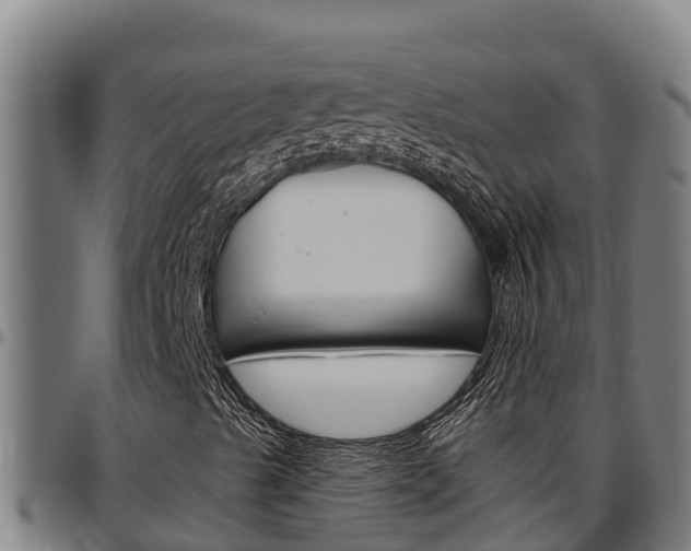 X0000097511489200802220852