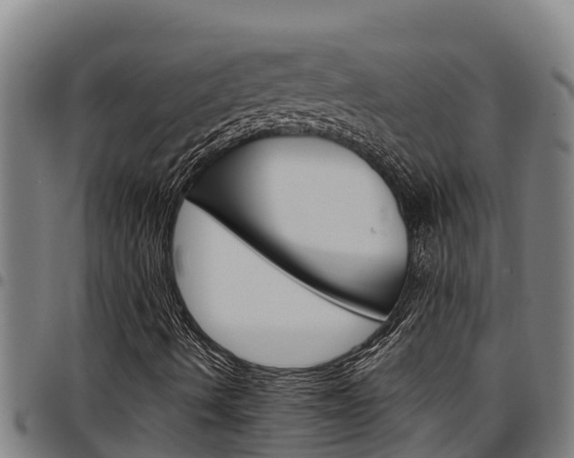 X0000097511490200802220852
