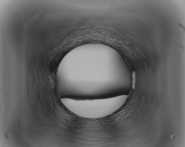 X0000097511491200802220852