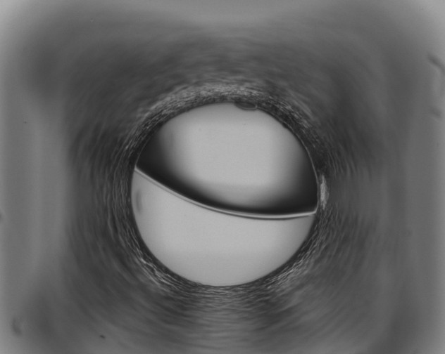 X0000097511492200802220852