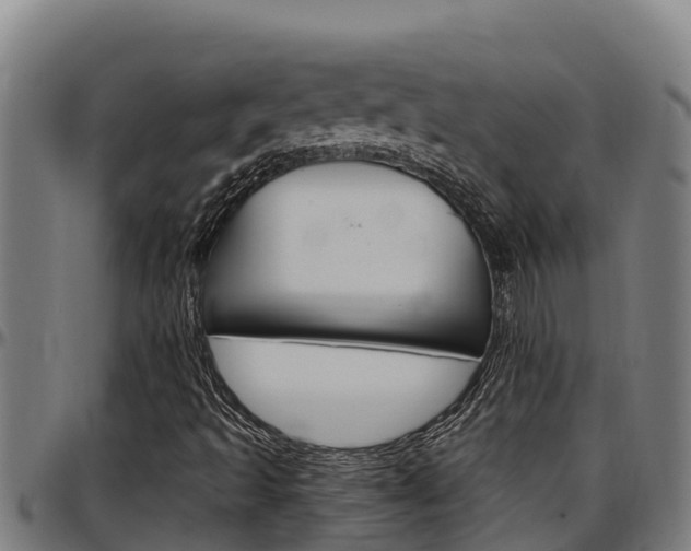 X0000097511493200802220852