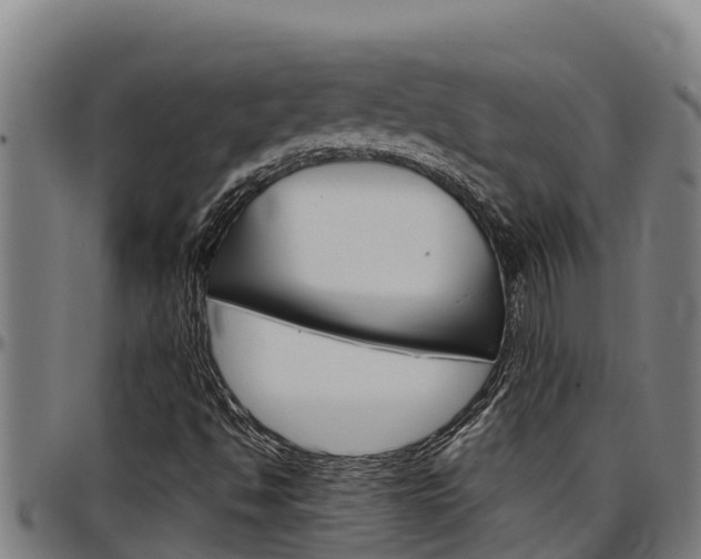 X0000097511494200802220852