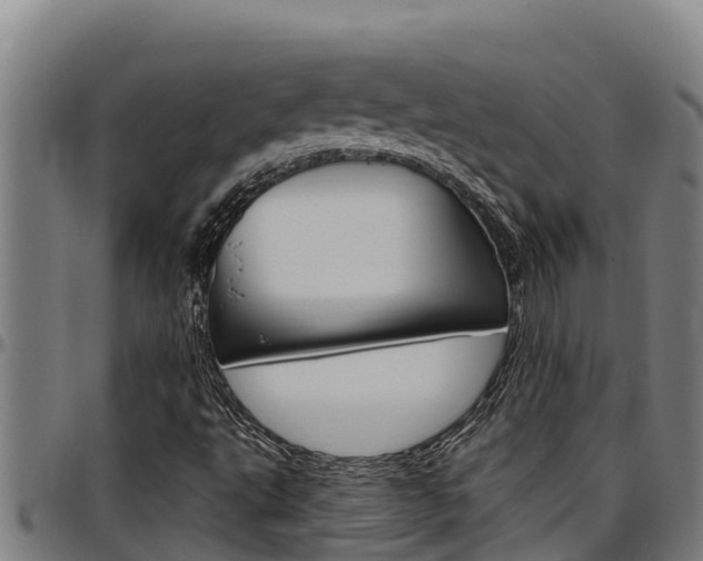 X0000097511495200802220852