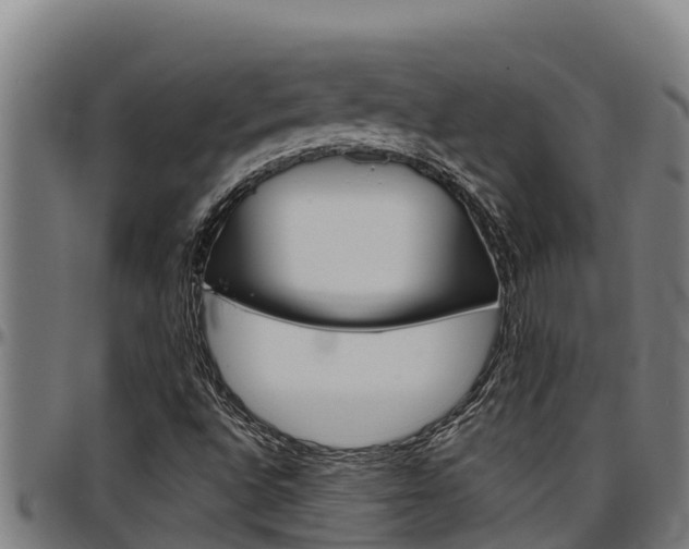 X0000097511496200802220852