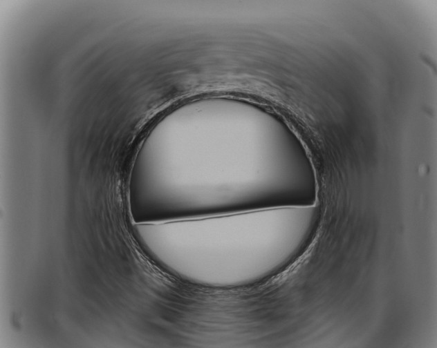 X0000097511497200802220852