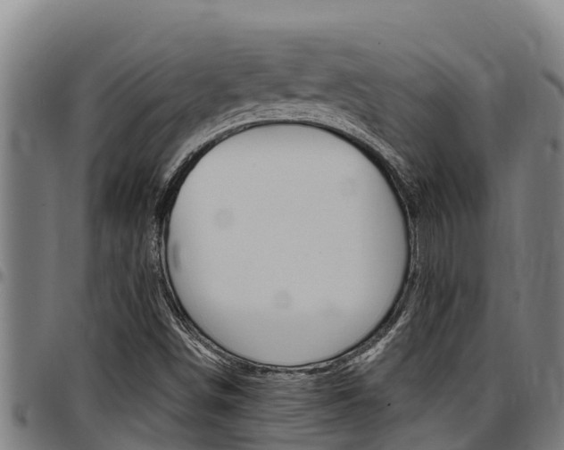 X0000097511498200802220852