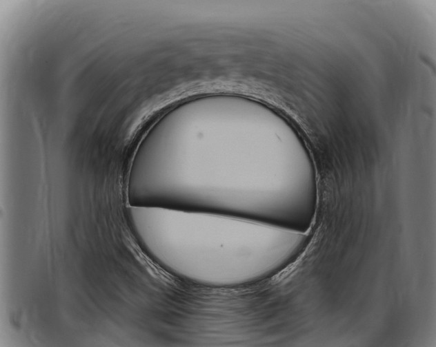 X0000097511499200802220852