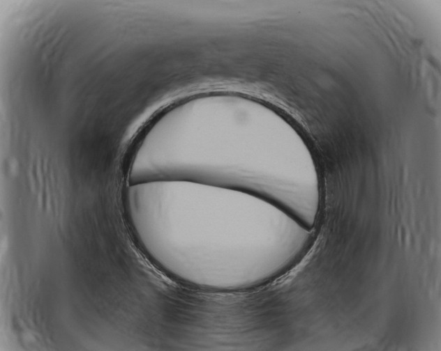 X0000097511502200802220853