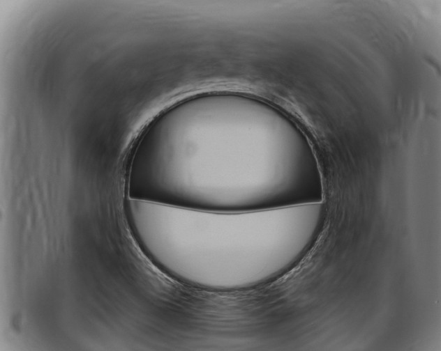 X0000097511504200802220853