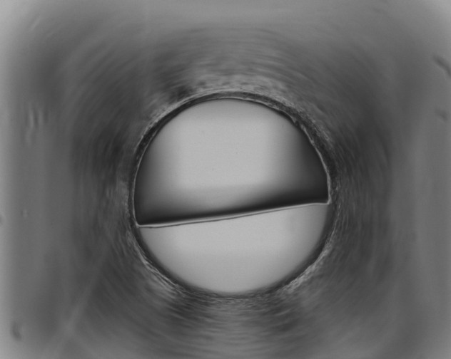 X0000097511505200802220853