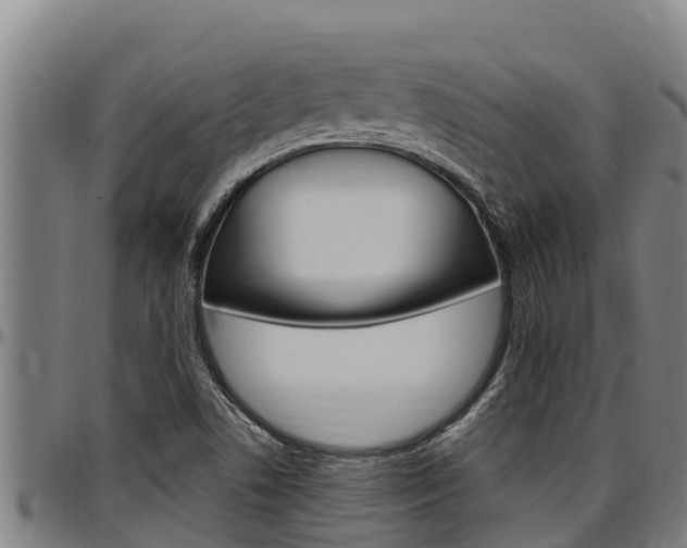 X0000097511506200802220853