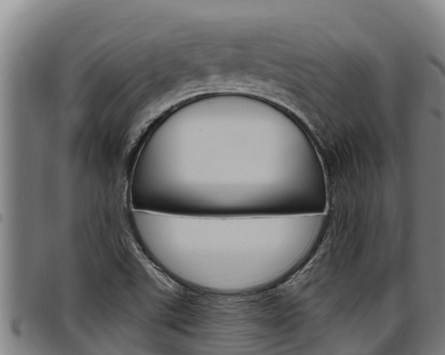 X0000097511507200802220853