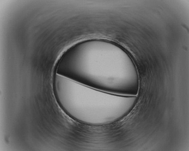 X0000097511508200802220853