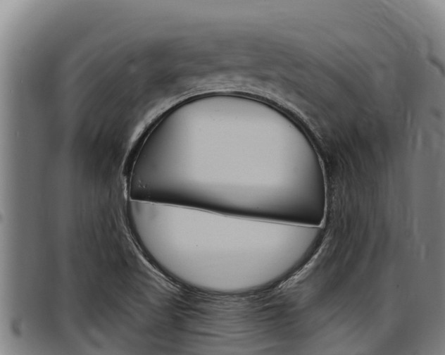 X0000097511509200802220853