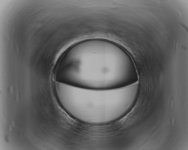 X0000097511510200802220853
