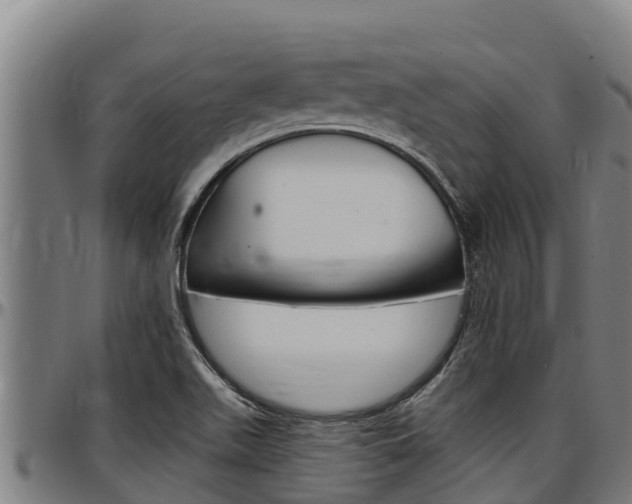 X0000097511511200802220853