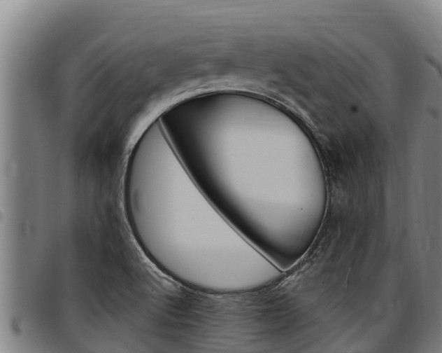 X0000097511512200802220853