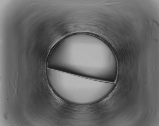 X0000097511513200802220853