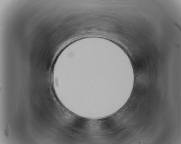 X0000097511514200802220853