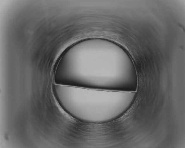 X0000097511515200802220853