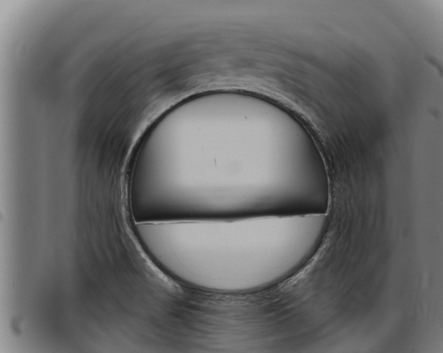 X0000097511517200802220853