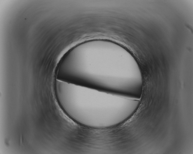 X0000097511518200802220853
