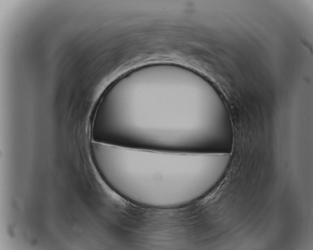 X0000097511519200802220853