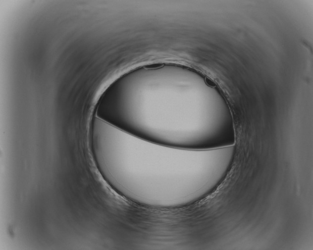 X0000097511520200802220853