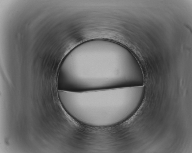 X0000097511521200802220853