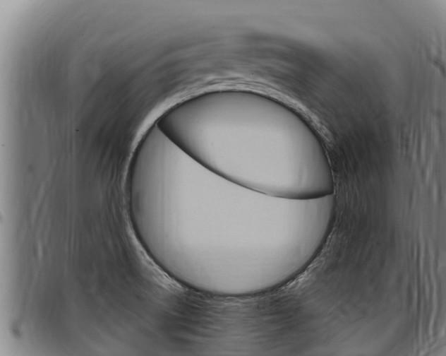 X0000097511522200802220853