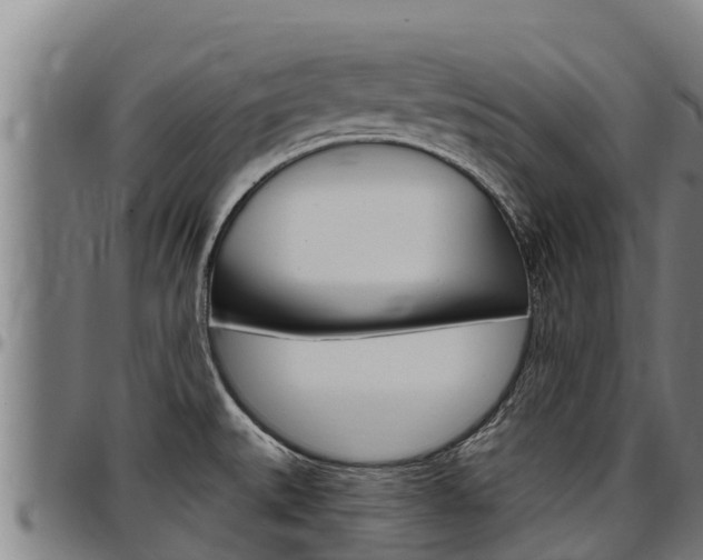 X0000097511527200802220853