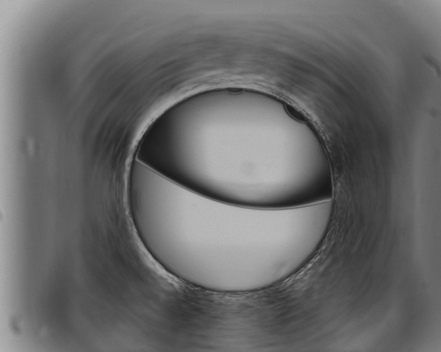 X0000097511528200802220853