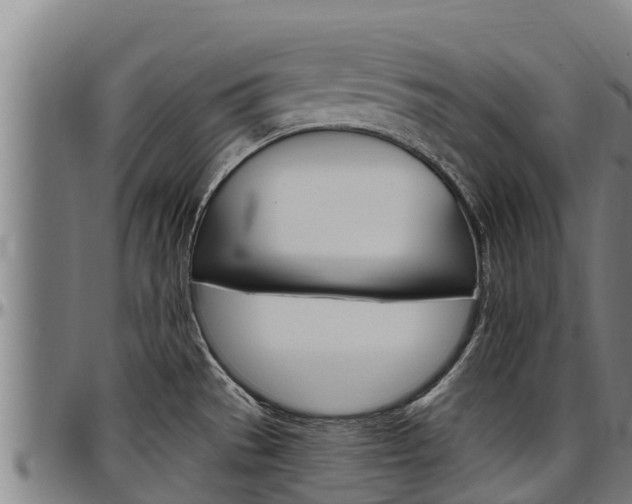 X0000097511529200802220853
