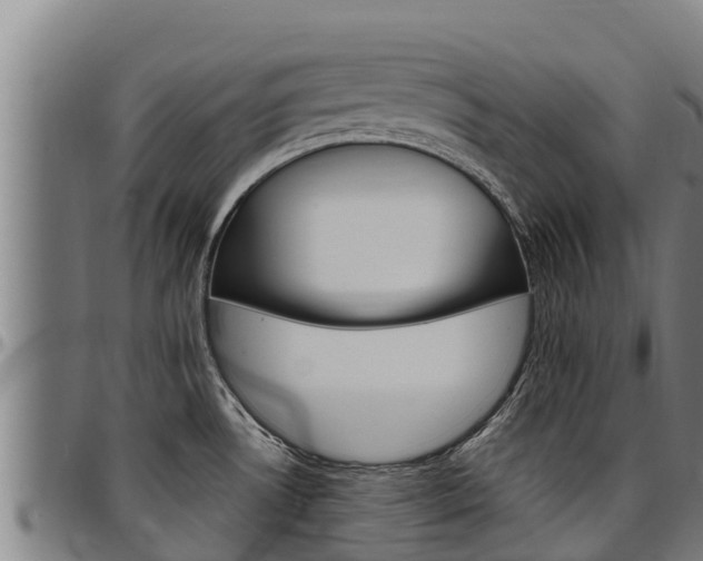 X0000097511530200802220853