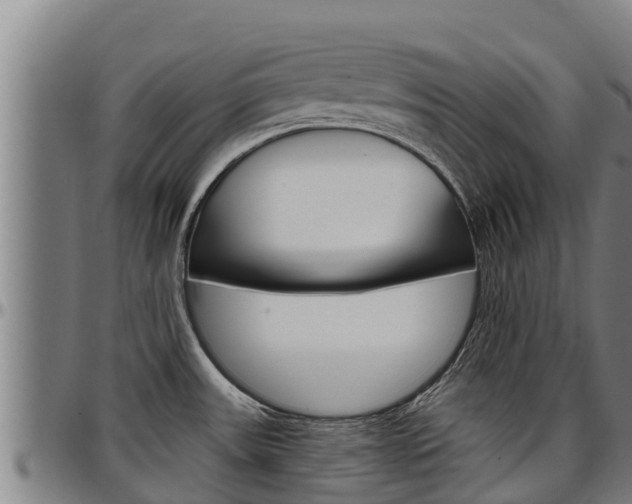 X0000097511531200802220853