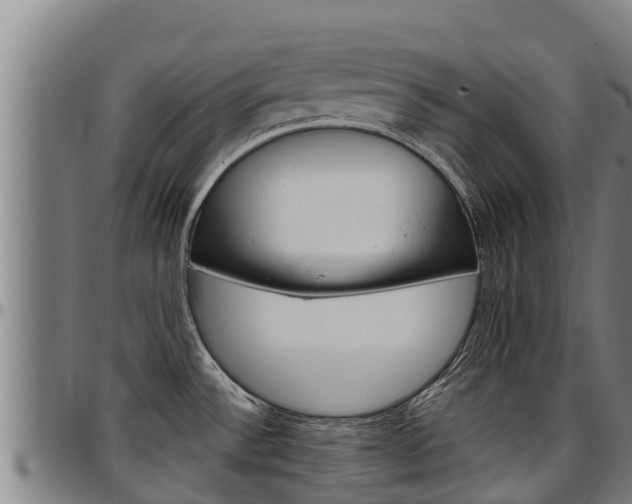 X0000097511532200802220853