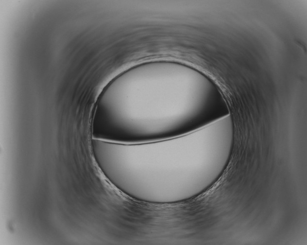 X0000097511534200802220853