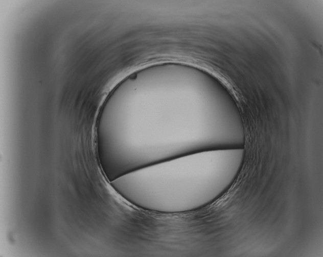 X0000097511535200802220853