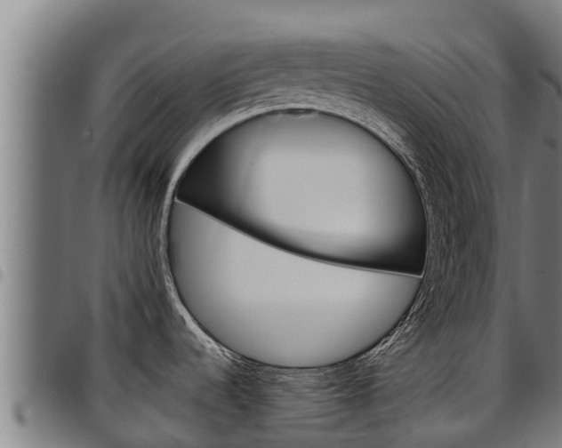 X0000097511536200802220853