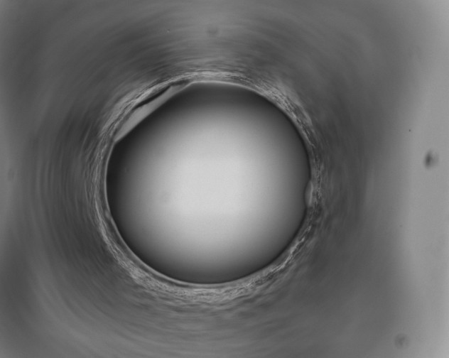 X0000097510001200802221518
