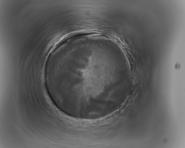 X0000097510002200802221517