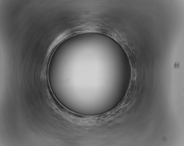 X0000097510004200802221517