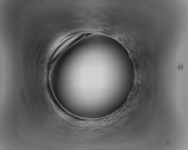 X0000097510005200802221517
