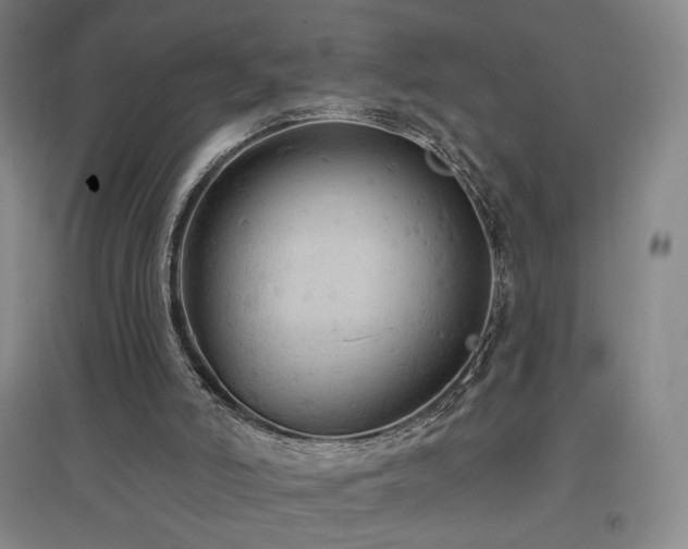 X0000097510006200802221517