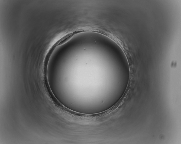 X0000097510008200802221517