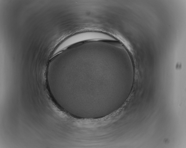 X0000097510009200802221517