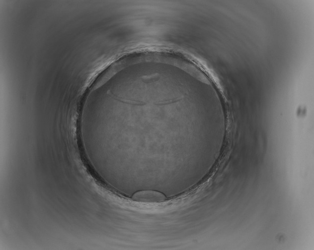 X0000097510010200802221517