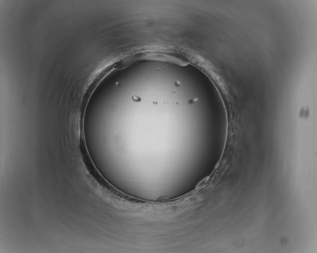 X0000097510011200802221517