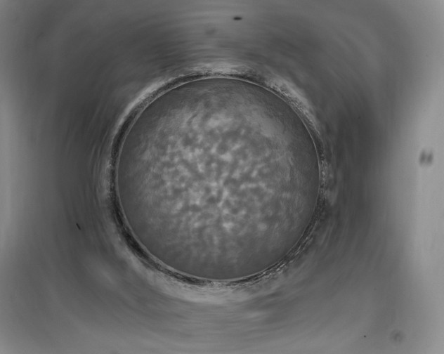 X0000097510012200802221517
